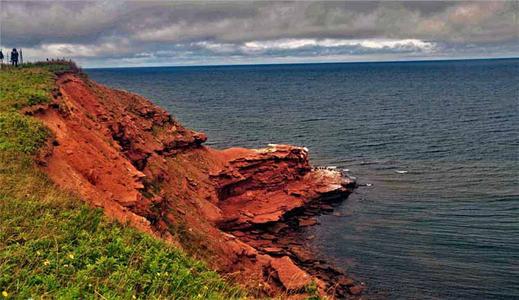 beach and coastline